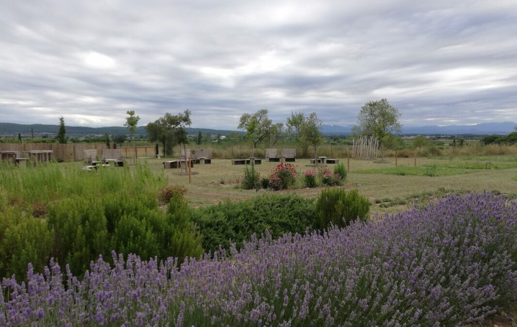 Olis essencials per a relaxar-nos i agafar el son