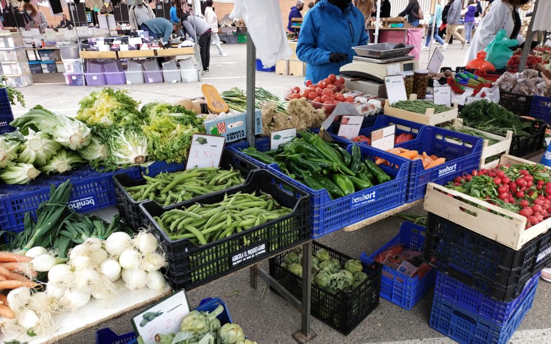 Alimentos de primavera