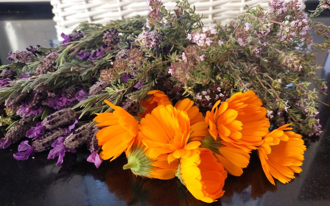 Crema hidratant  bàsica per a tots tipus de pell