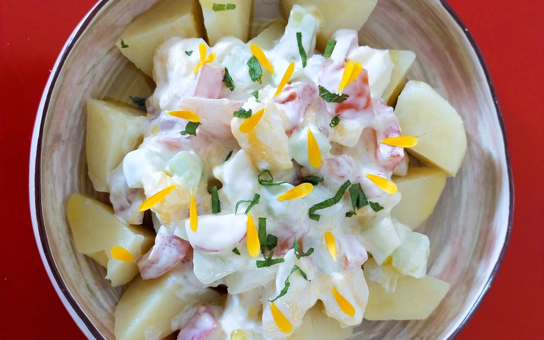 Ensalada de patata, pepino y otras verduras con yogur y sardinas al horno-comida