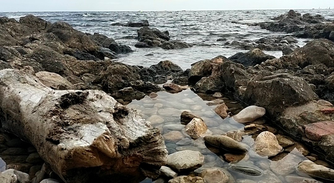 Ritual Respiració Meditació amb oli essencial d’Alfàbrega Sagrada